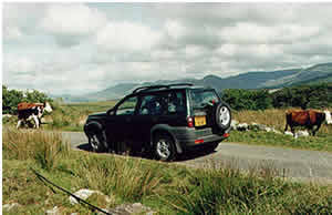 Freelander in Ireland